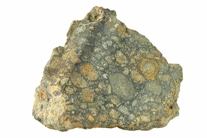 Chondrite Meteorite ( g) Section - Unclassified #291515